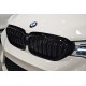BMW - G30 5 Serisi M5 Böbrek Panjur 2017-2019