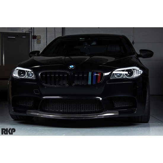 BMW - F10 5 Serisi M5 Panjur Böbrek 2011-2016