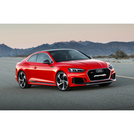 Audi - A5 B9 Coupe - Sportback RS5 Panjur 2016 2019