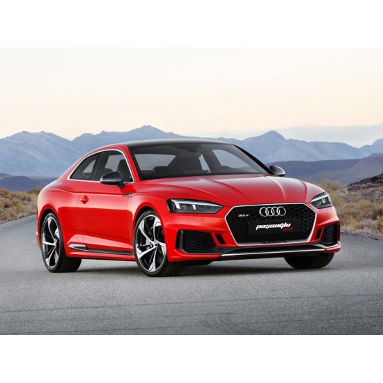 Audi - A5 B9 Coupe - Sportback RS5 Panjur 2016 2019