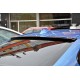 BMW - F30 3 Serisi Cam Üstü Spoiler 2012-2019