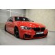 BMW - F30 3 Serisi M3 Panjur Böbrek 2012-2019