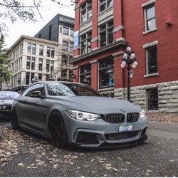 BMW - F32 F33 F36 4 Serisi M4 Panjur Böbrek 2013-2019