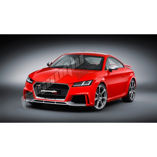Audi - TT RS Panjur 2014-2019