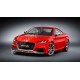 Audi - TT RS Panjur 2014-2019