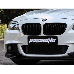 BMW - F10 5 Serisi M tech Panjur Böbrek 2011-2016