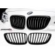BMW - F22 2 Serisi Performance Siyah Panjur 2014-2019